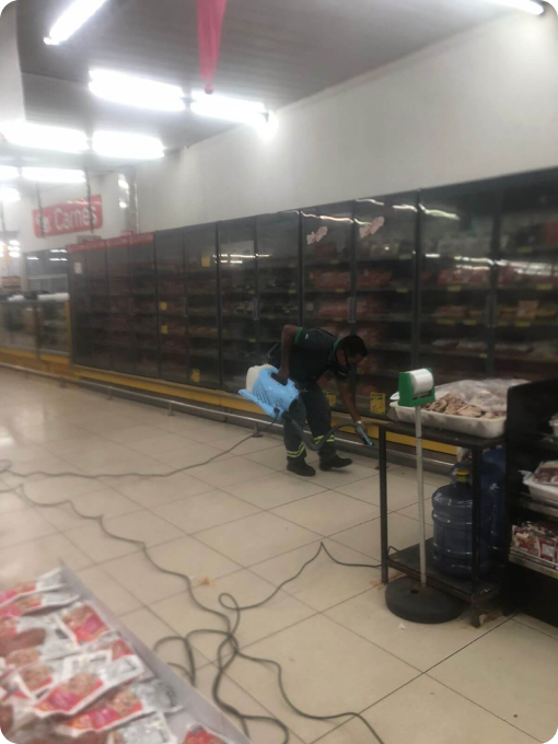 avanti-dedetizadora-em-recife-controle-de-pragas-2