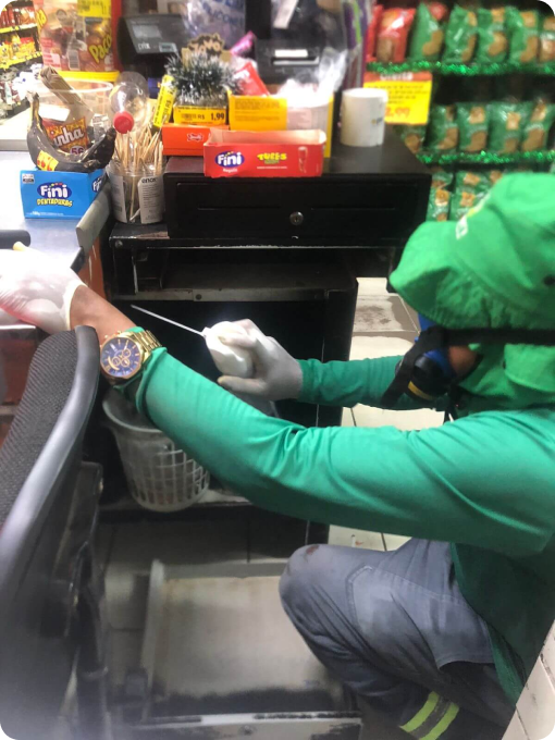 avanti-dedetizadora-em-recife-controle-de-pragas-3