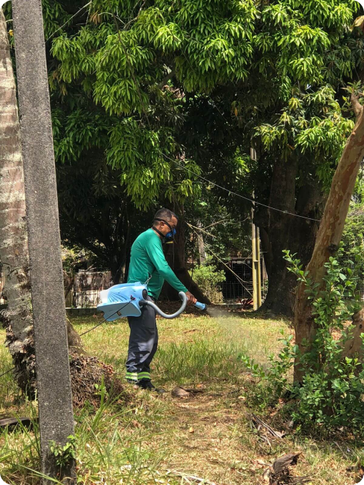 avanti-dedetizadora-em-recife-controle-de-pragas-4