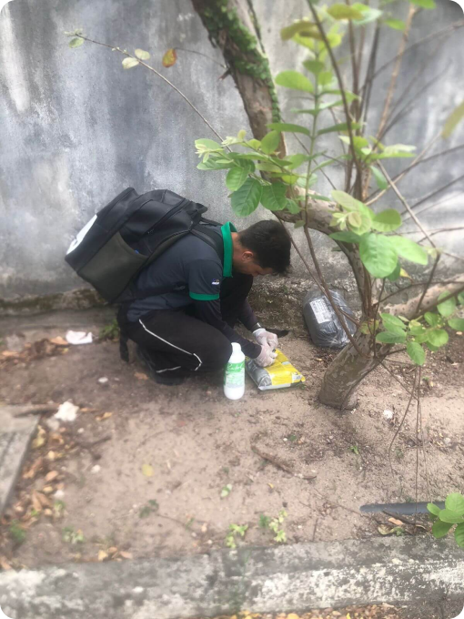 avanti-dedetizadora-em-recife-controle-de-pragas-5