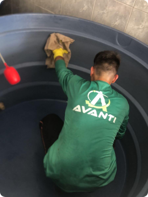 avanti-dedetizadora-em-recife-controle-de-pragas-7