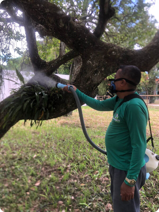 avanti-dedetizadora-em-recife-controle-de-pragas-8