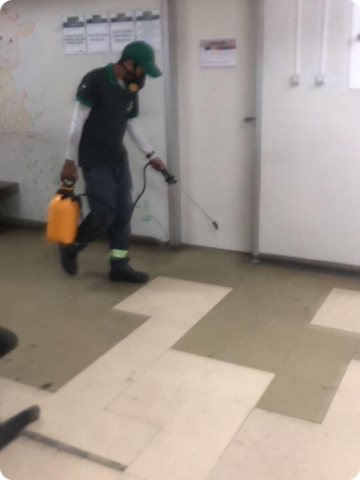 avanti-dedetizadora-em-recife-controle-de-pragas-9